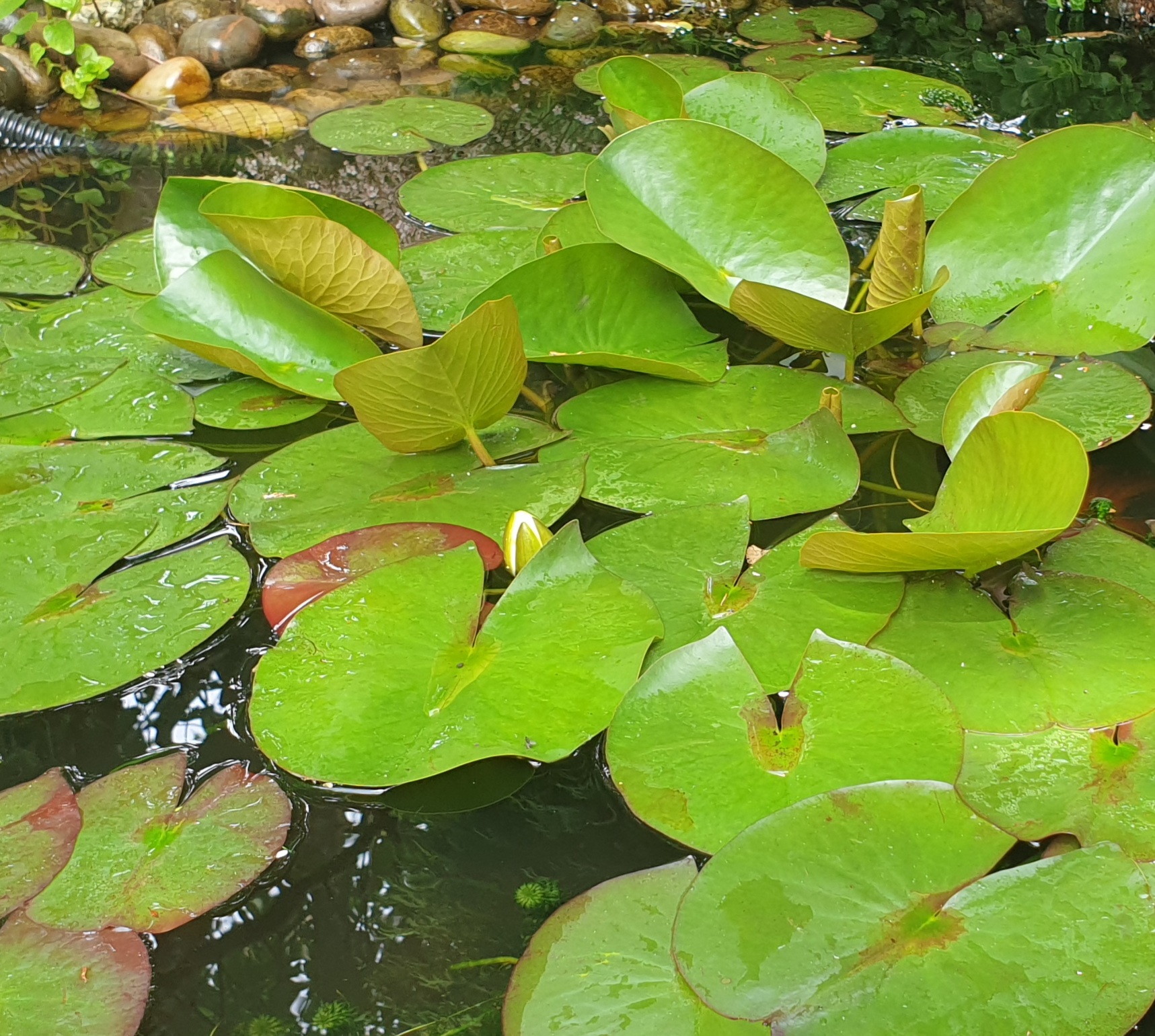 20210624_130114.jpg