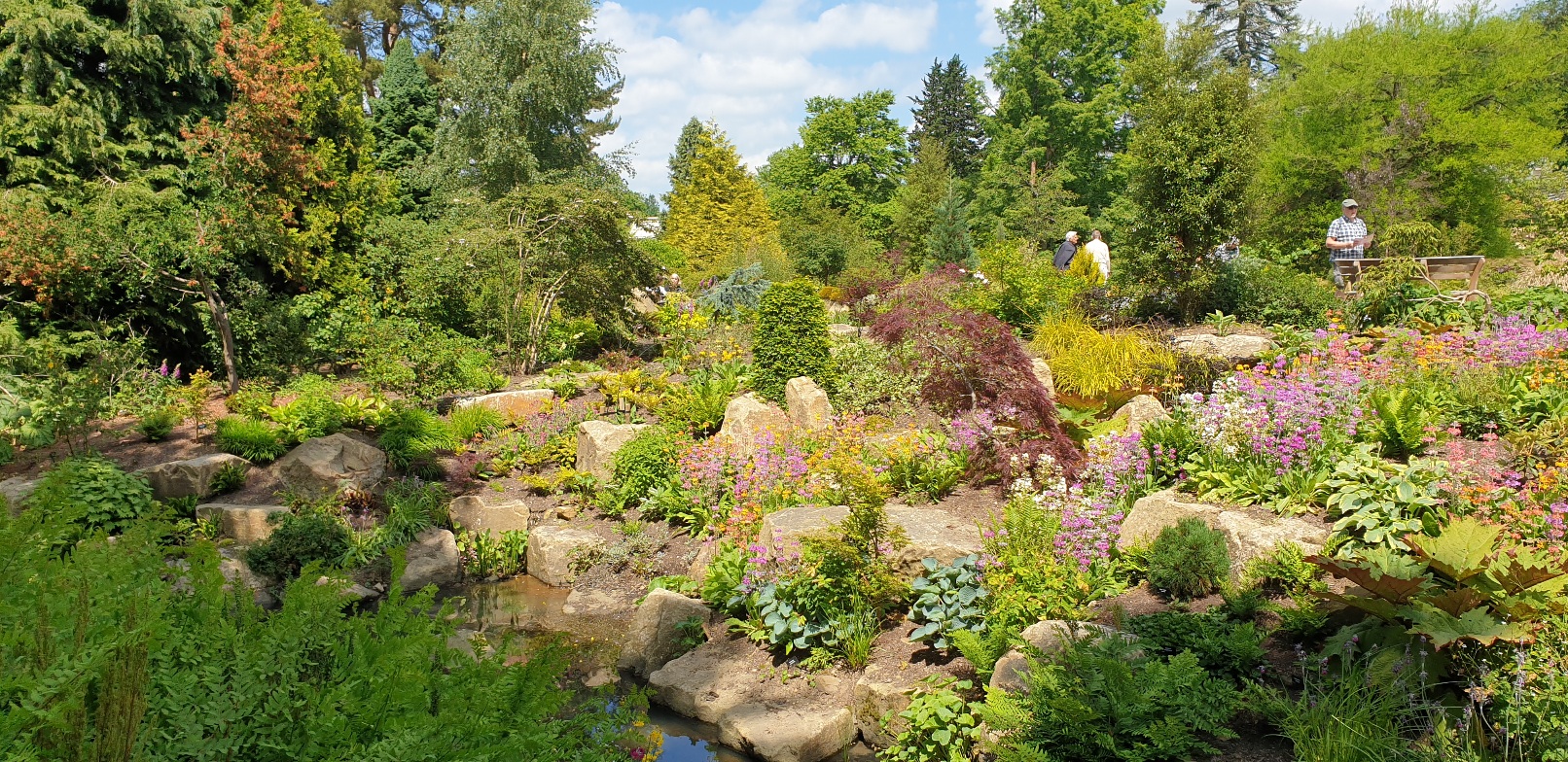 Harlow Carr.jpg