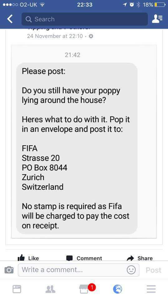 poppy.jpg