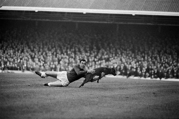 Gordon Banks-dog.jpg