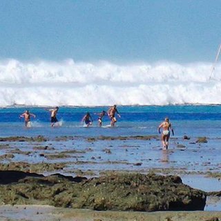 Hat-Rai-Lay-Beach-near-Krabi-in-southern-Thailand-Waders-escaping-from-the-first-wave_Q320.jpg