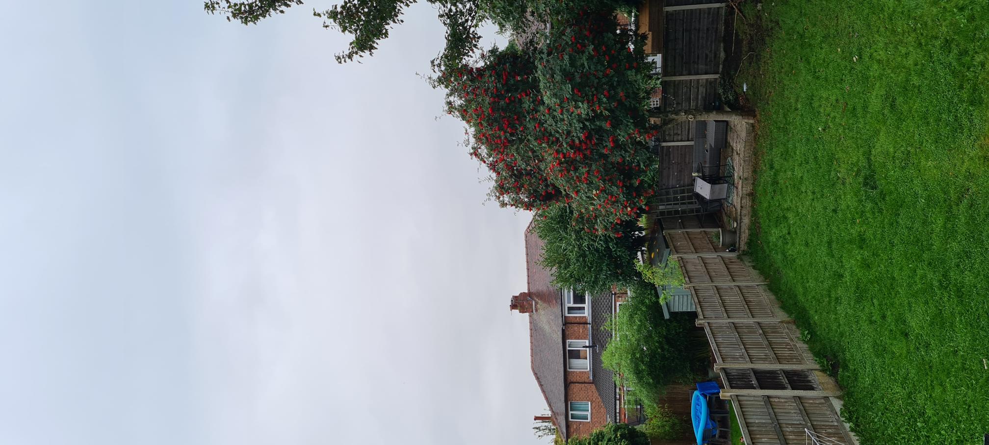 20210910_075836.jpg