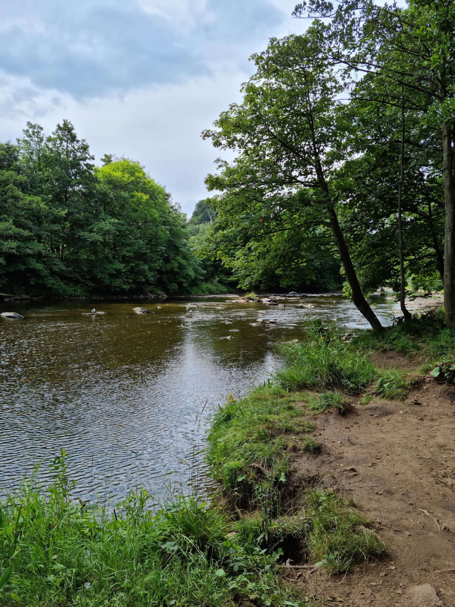 D3427834-CDBB-4360-9E88-9A5ED58F29CF.jpeg