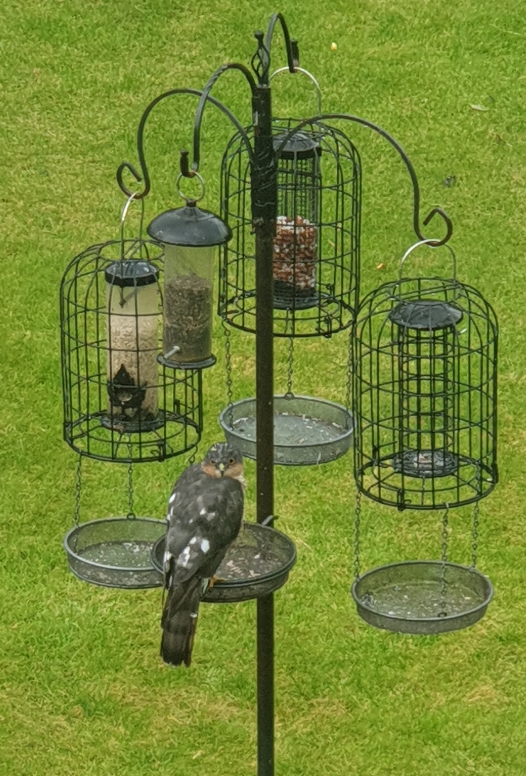 20190922_101435.jpg