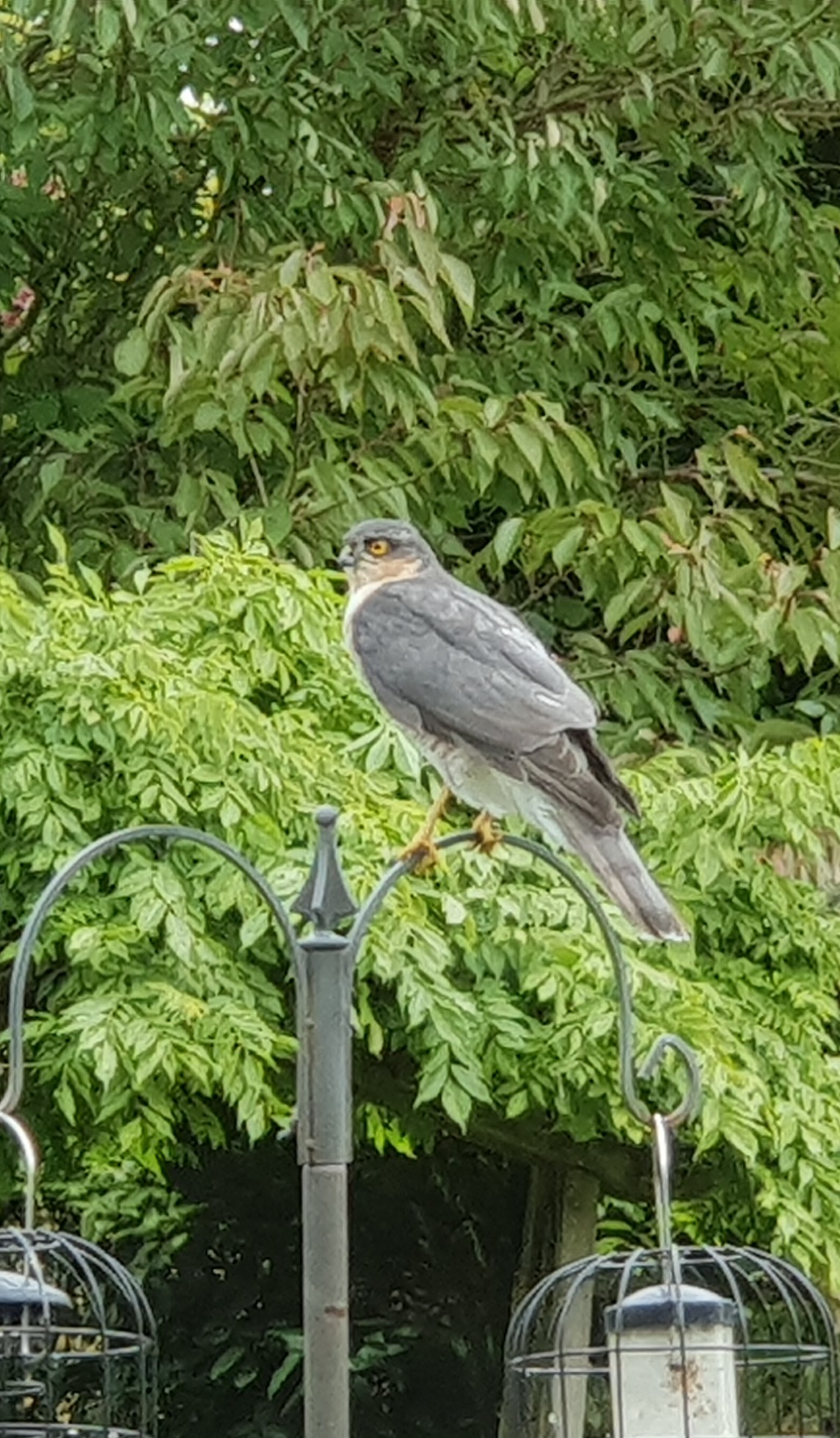 20181006_102928.jpg