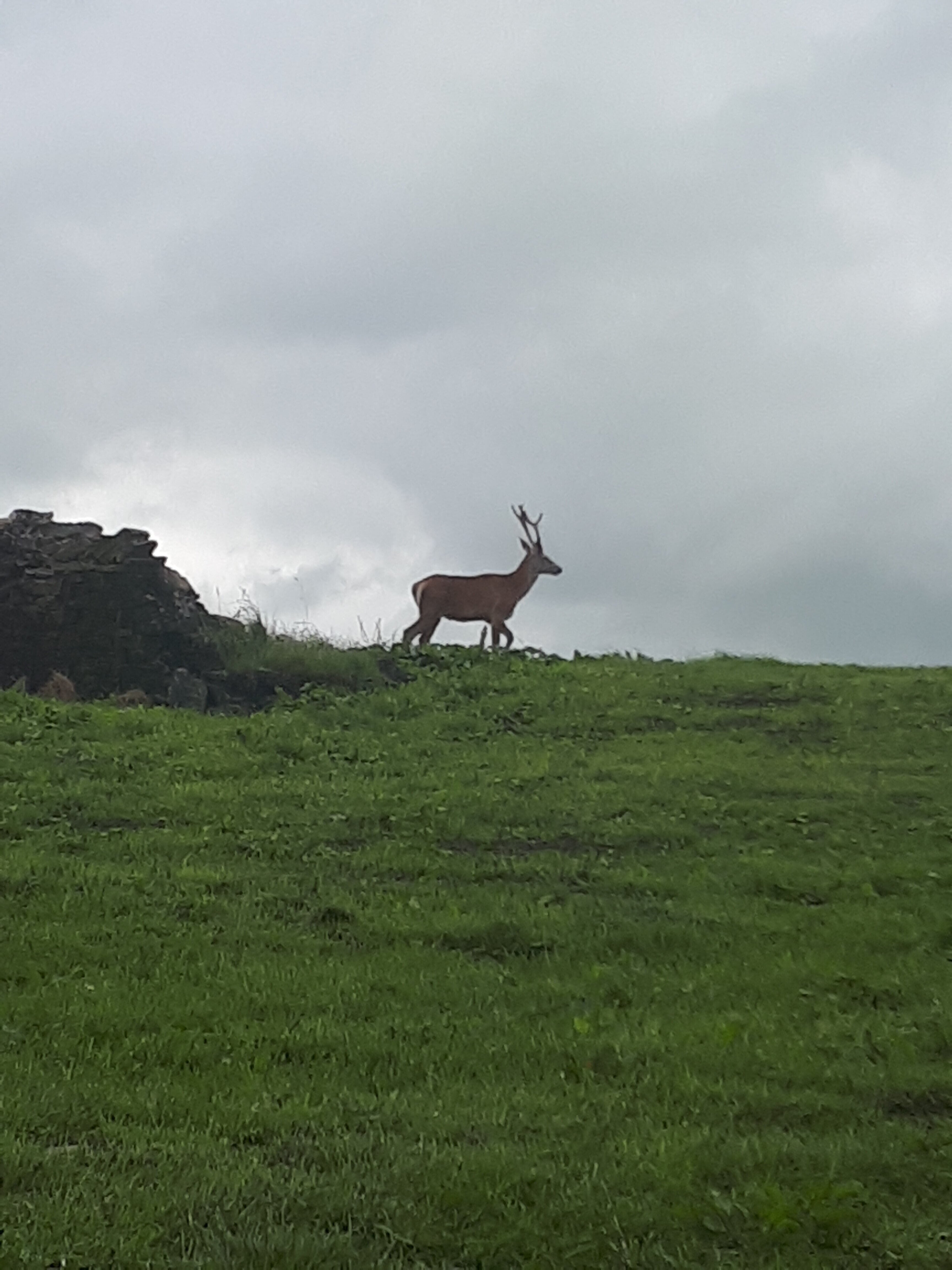 Taken on the Rossendale hills