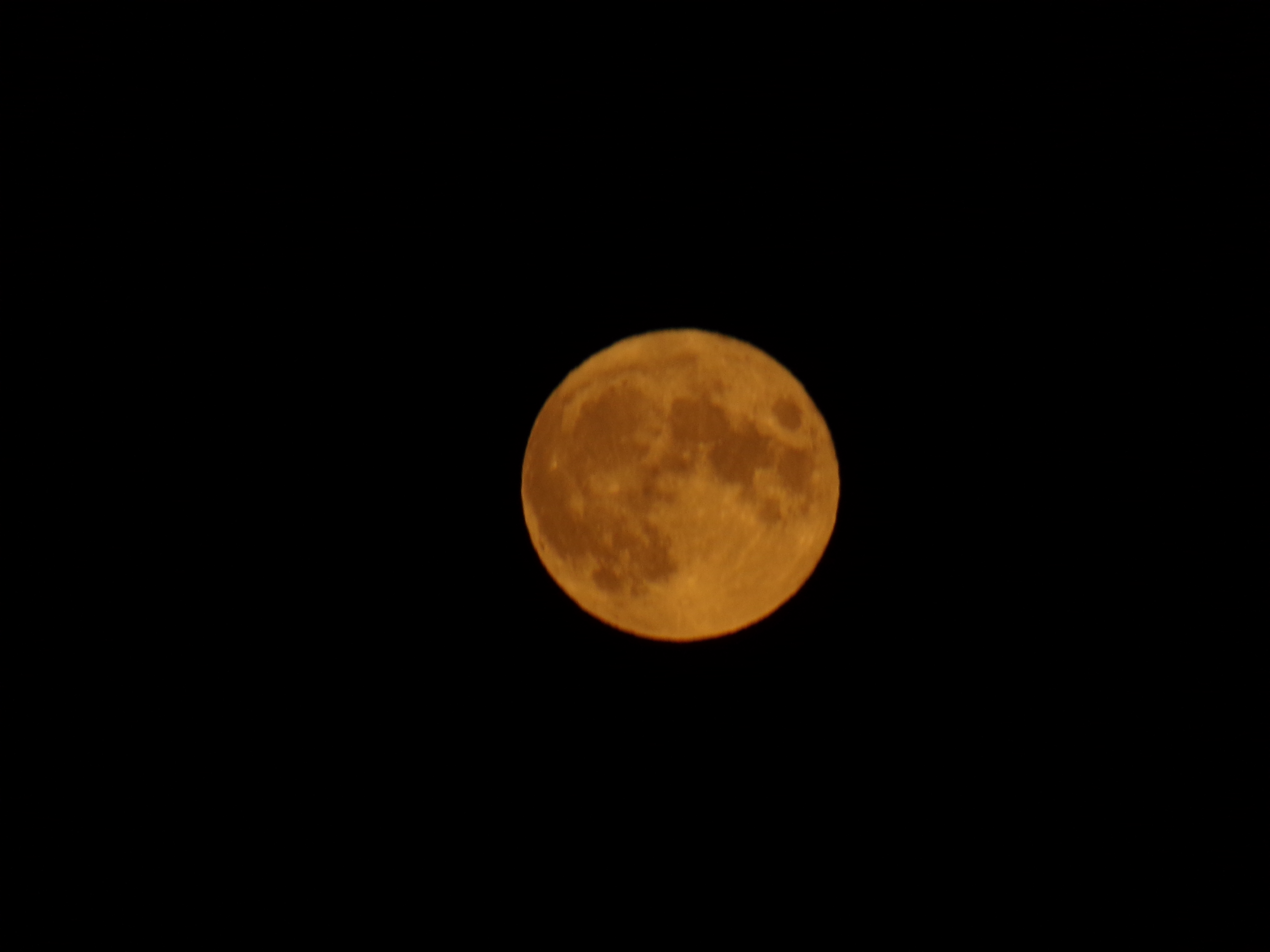 100_0033.JPG