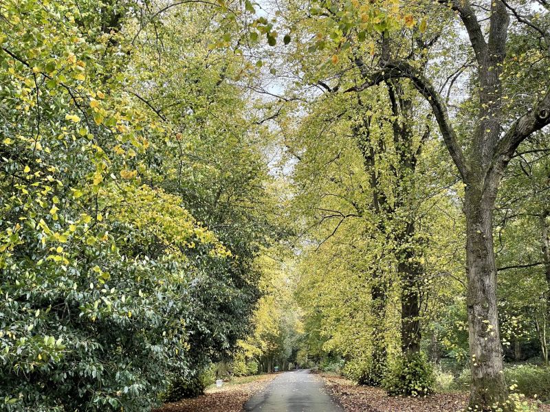 Gawthorpe Drive.jpg