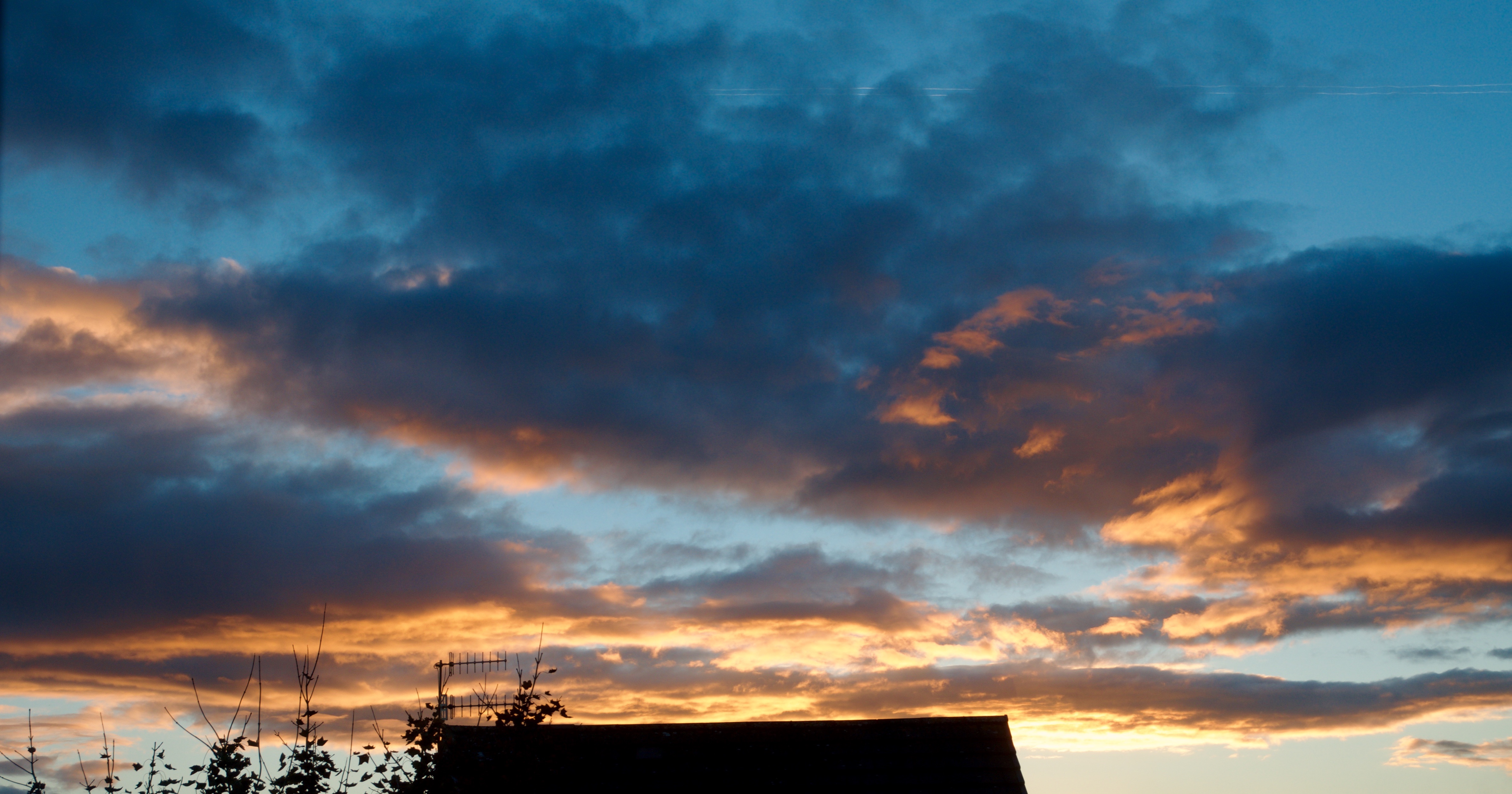DSC_3892.jpg