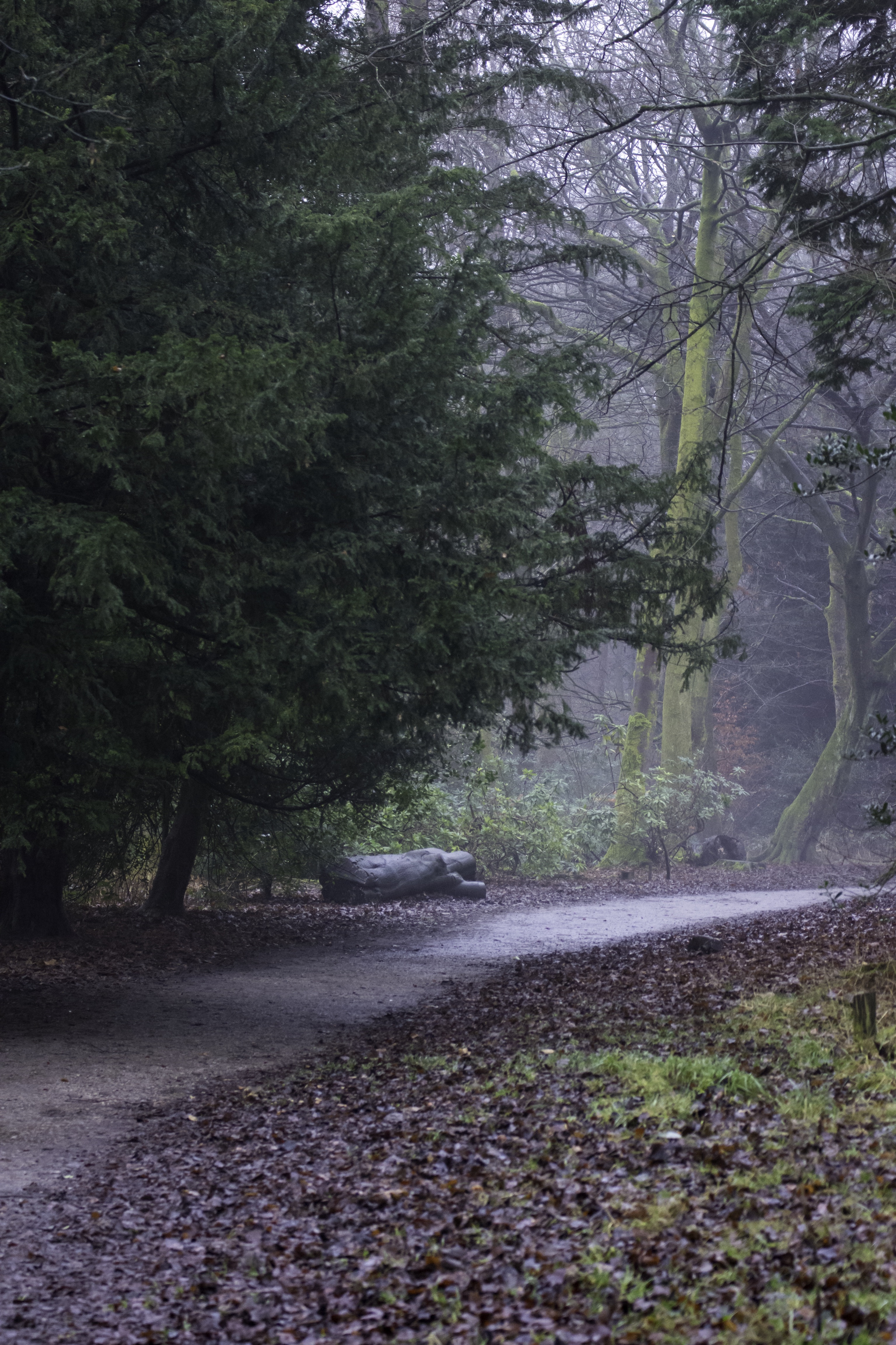 DSC_1116-Edit.jpg