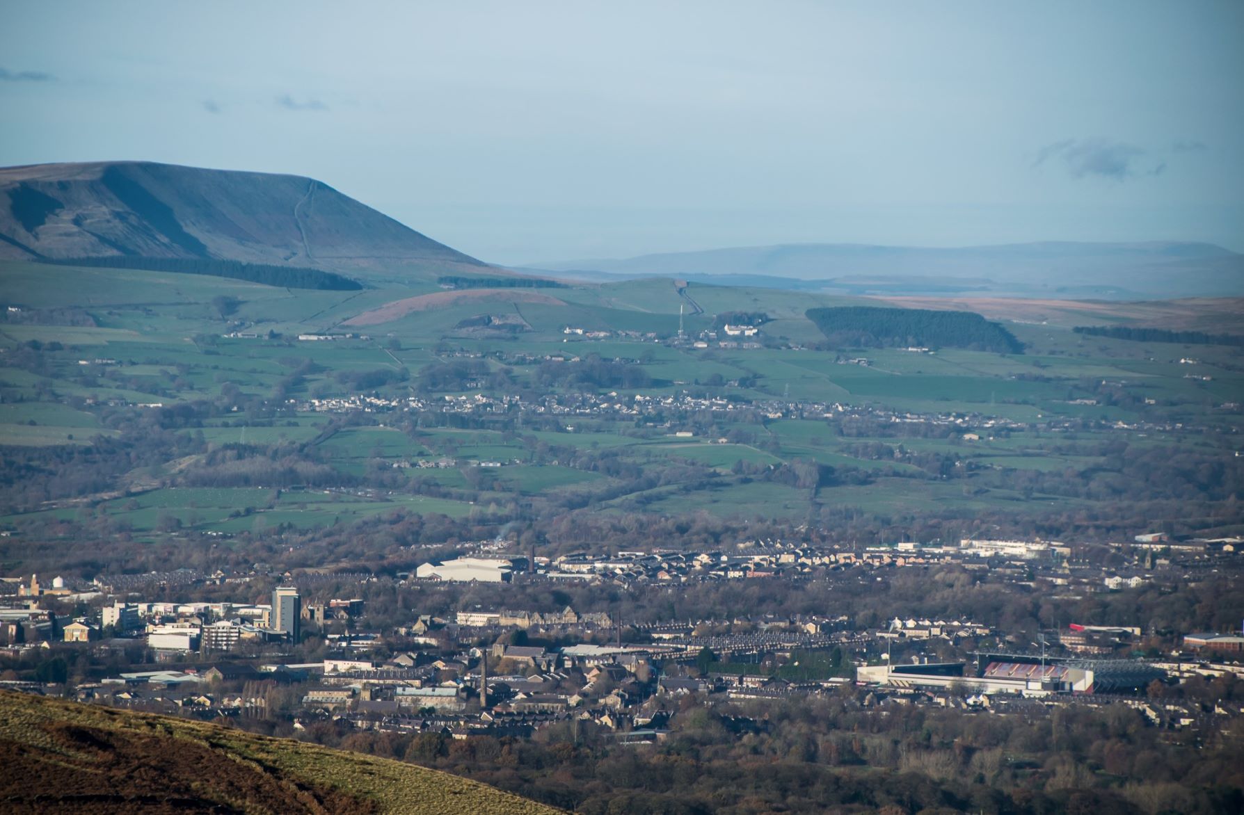 DSC_00241.jpg