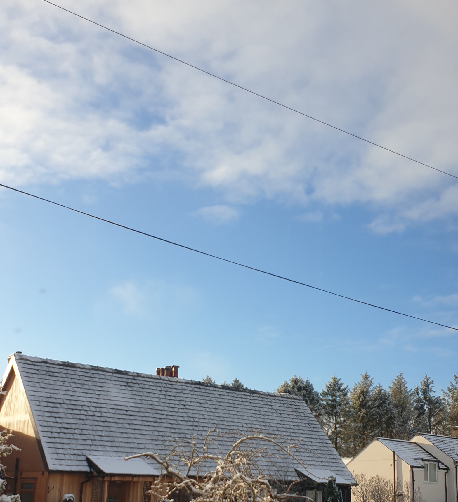 20211128_140649.jpg