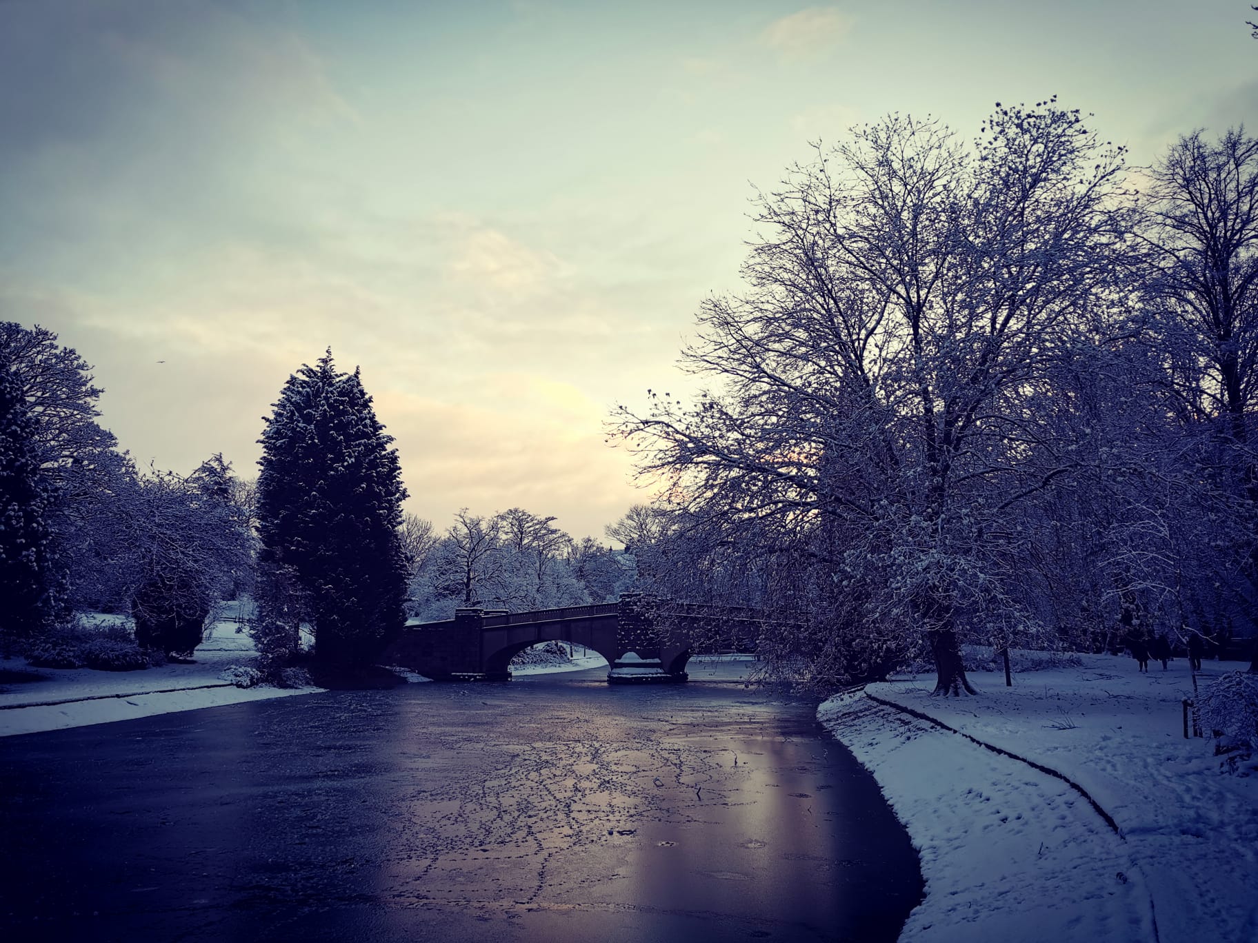 Thompson's park