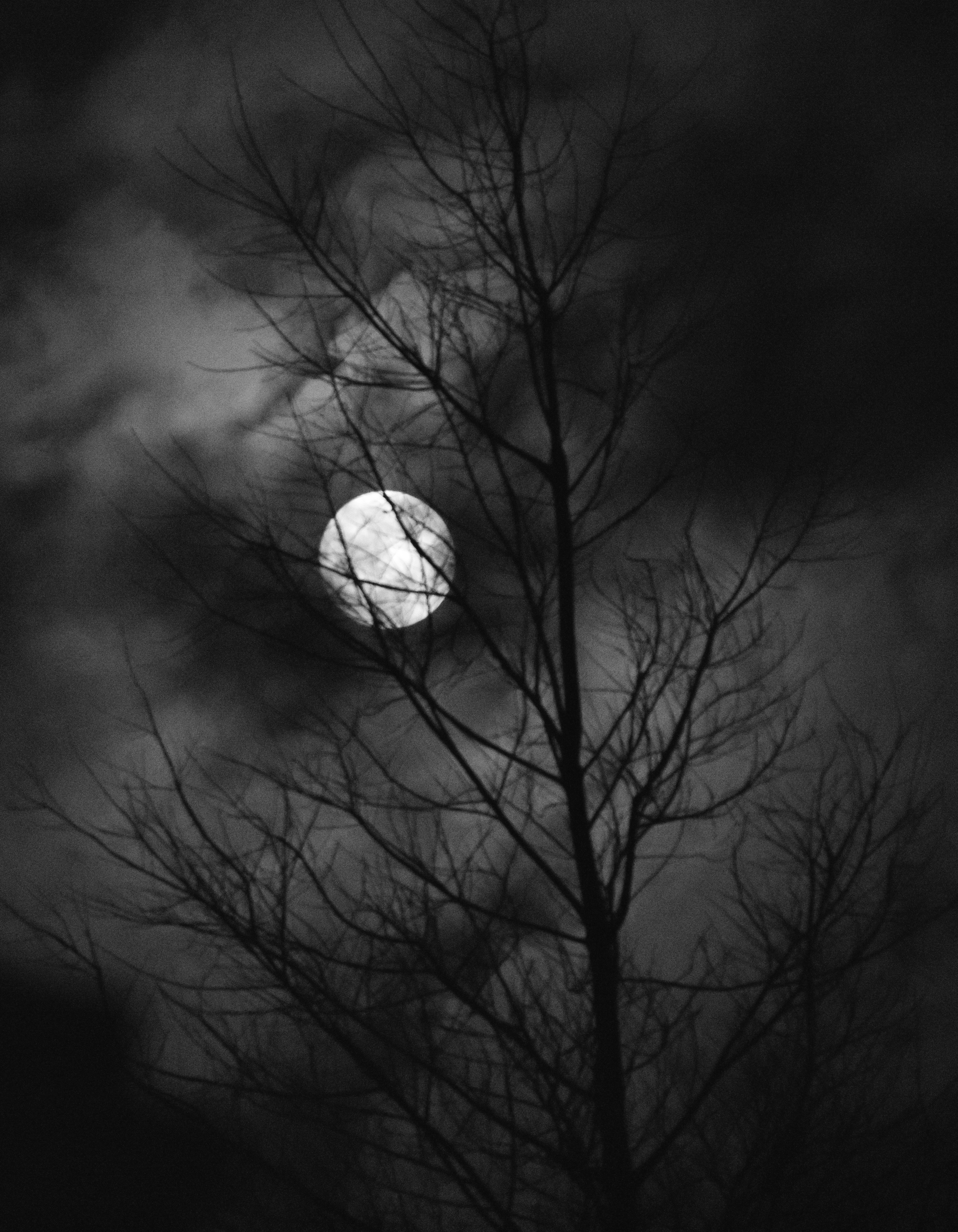 DSC_1258-Edit-Edit.jpg