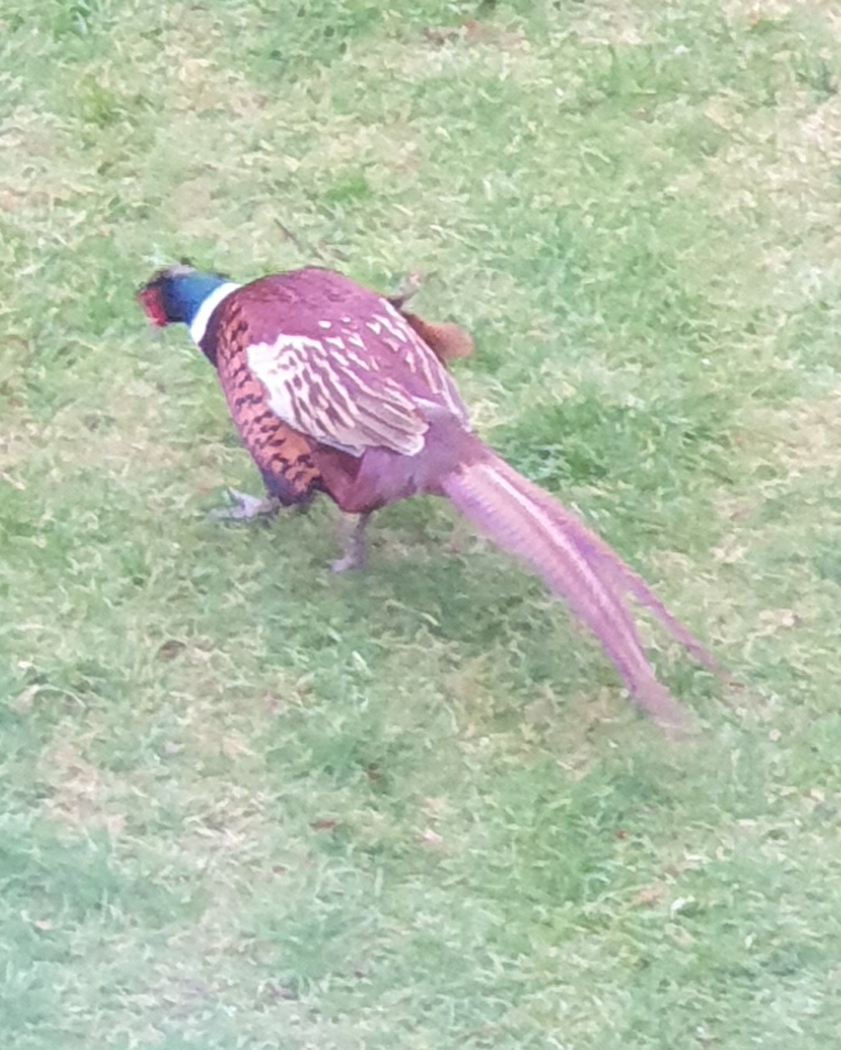 20220130_171525.jpg