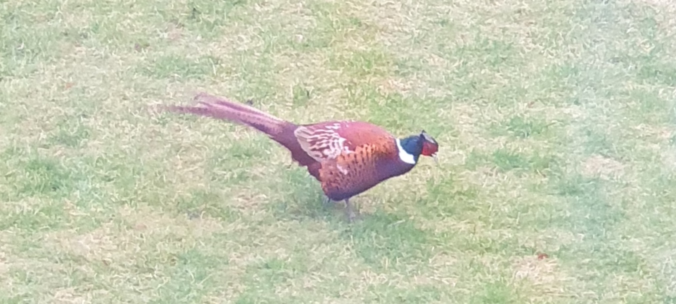 20220130_171457.jpg