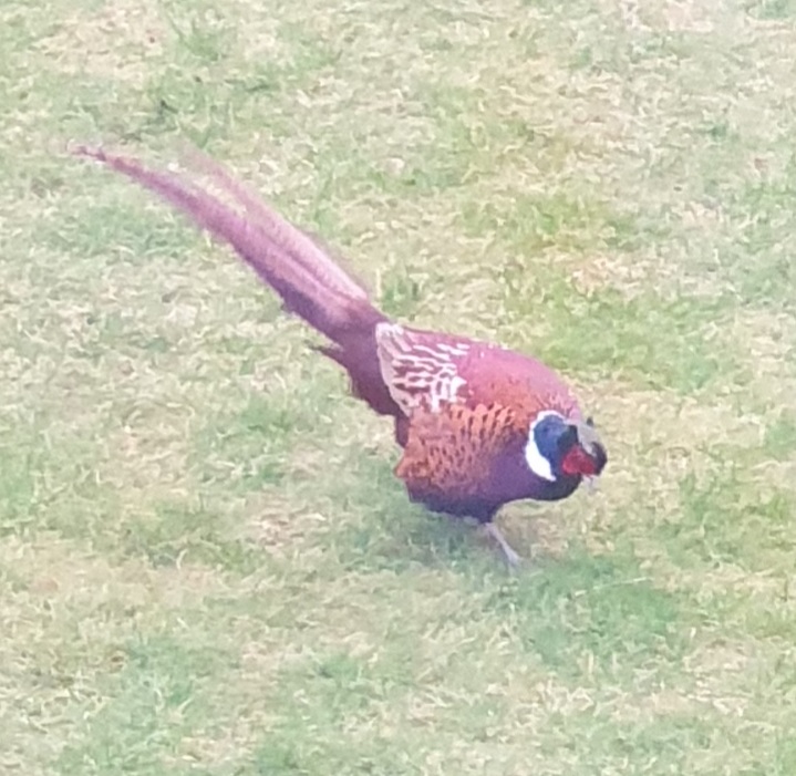 20220130_171443.jpg