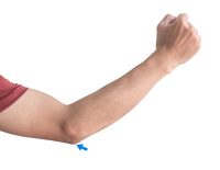 elbow_noun_002_12193.jpg