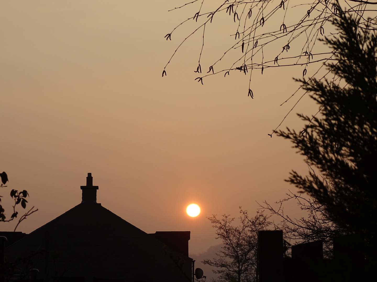 DSC00398.JPG