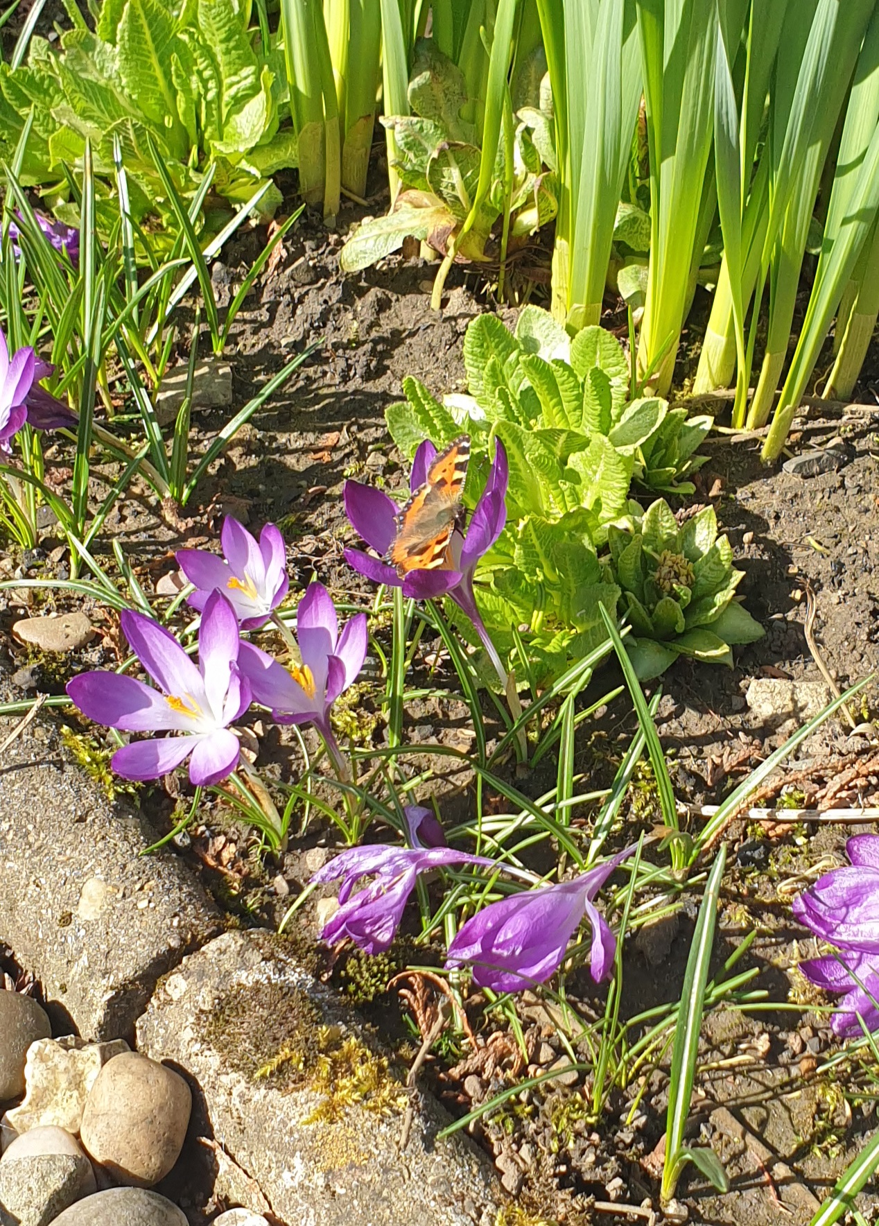 20220318_105359.jpg