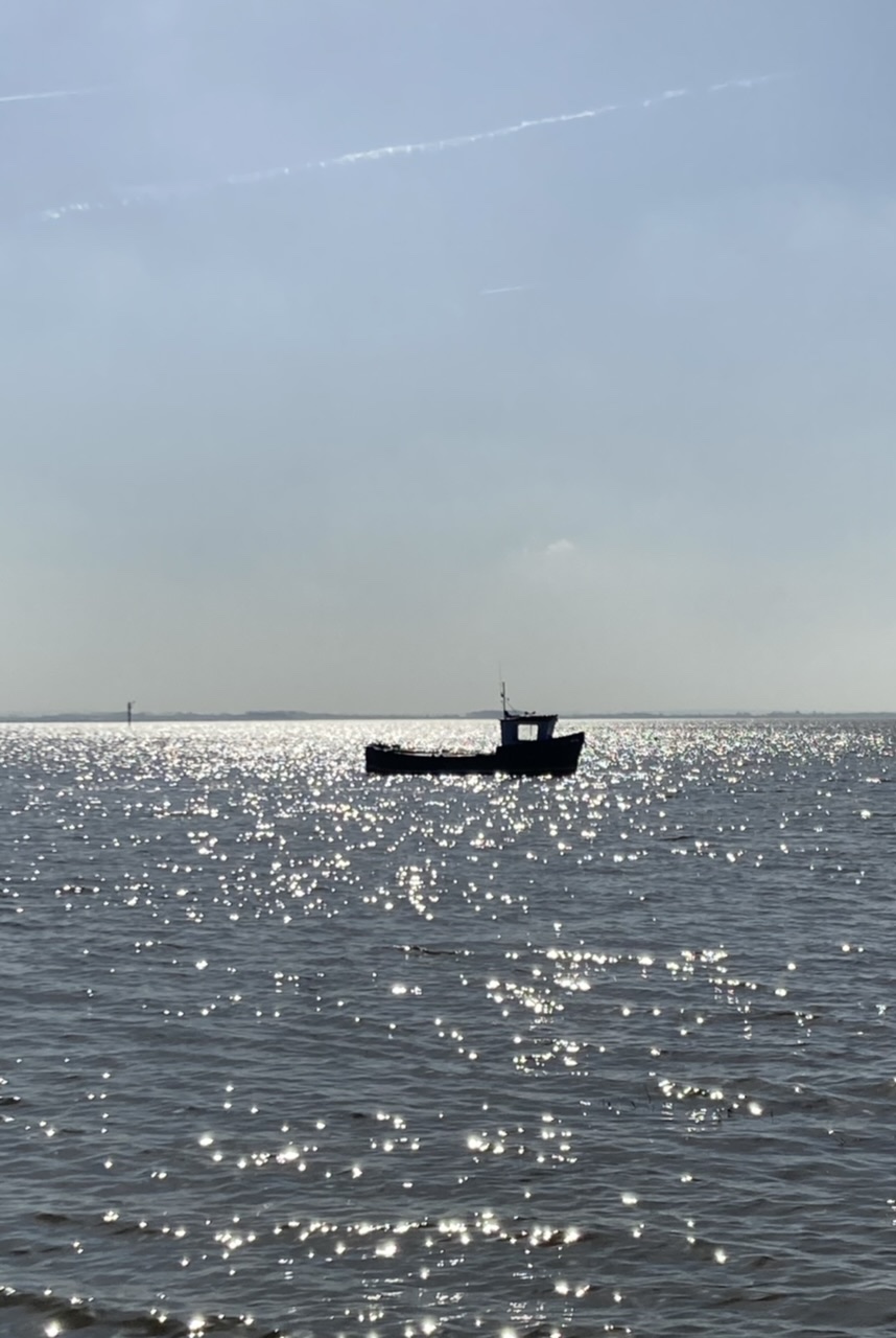 D07717A7-B4F7-47A1-AAB1-73C9431921E6.jpeg