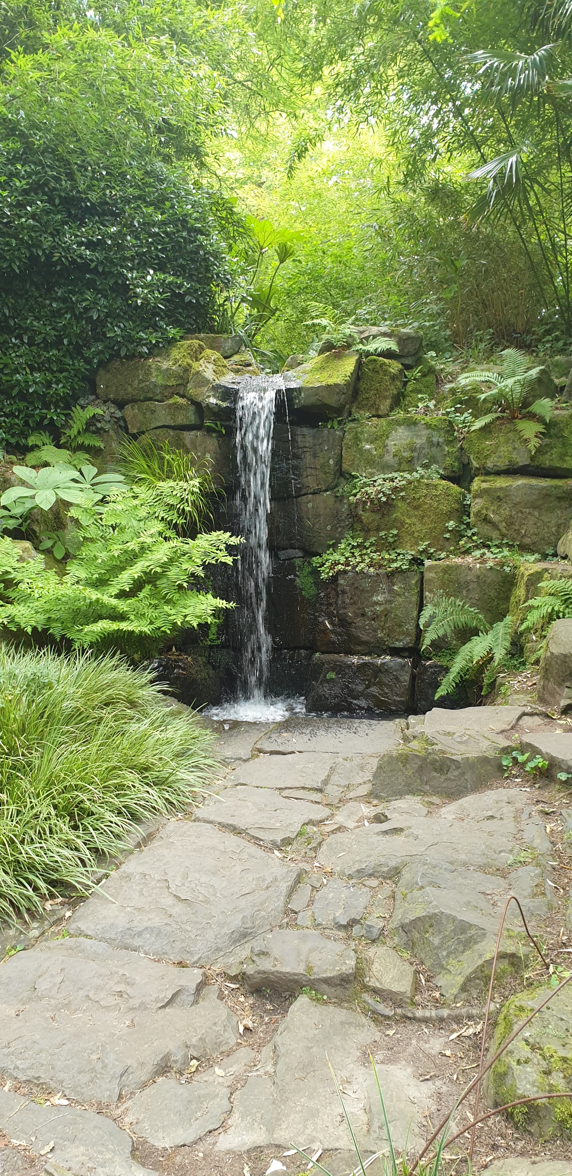 20220617_090445.jpg