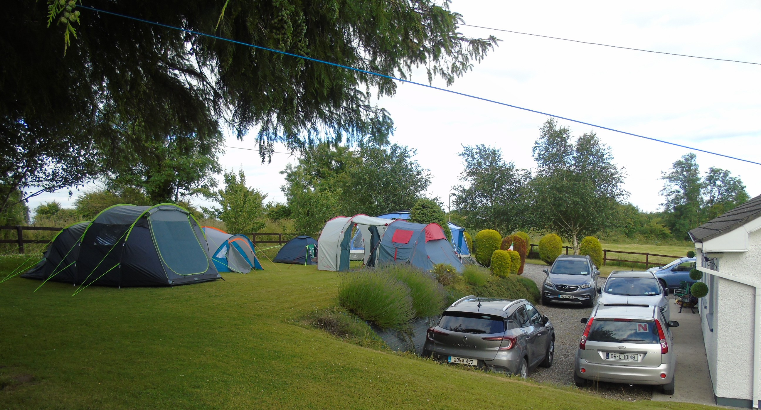 DSC00009 (2).JPG