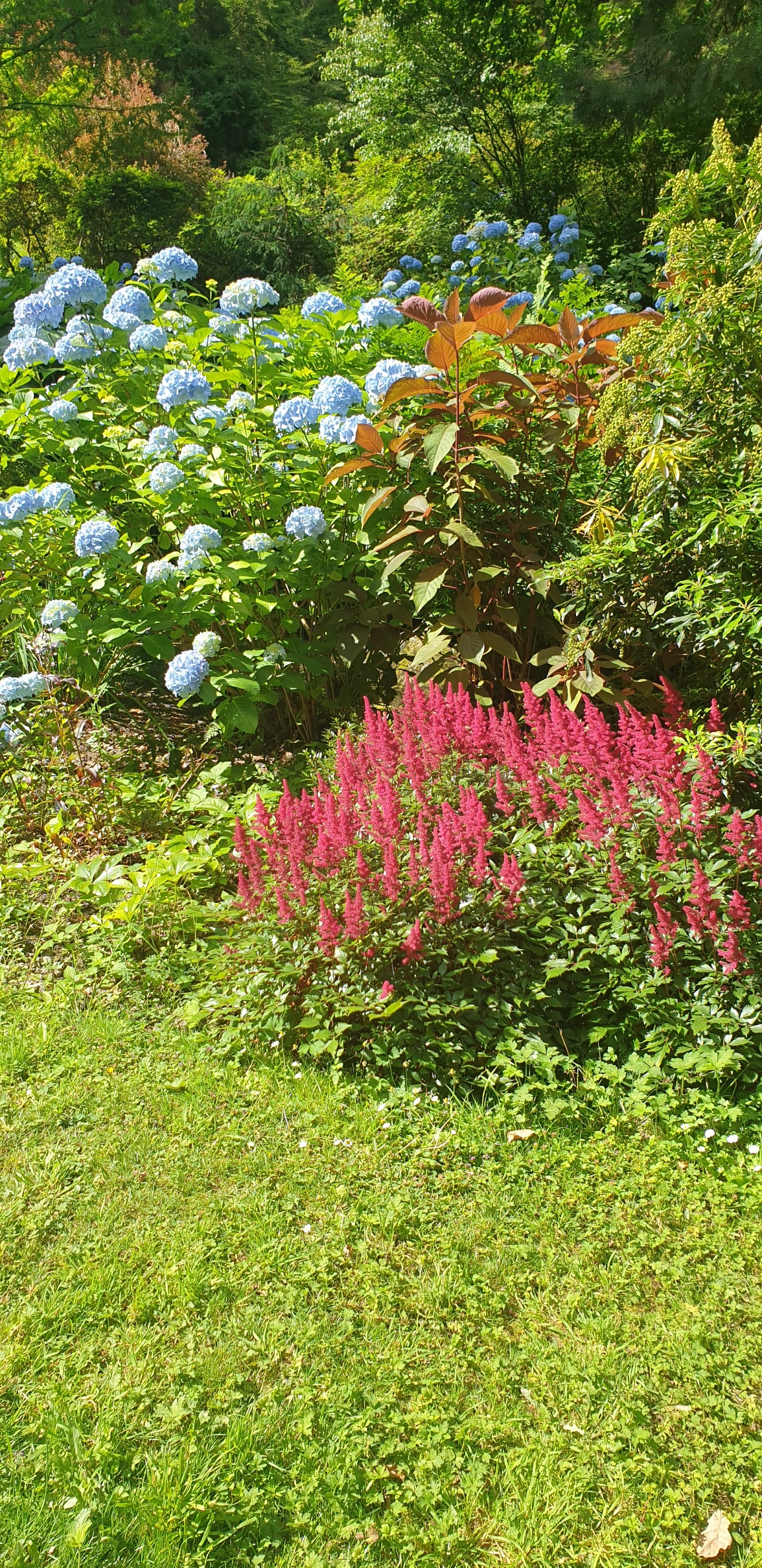 20220715_162413.jpg