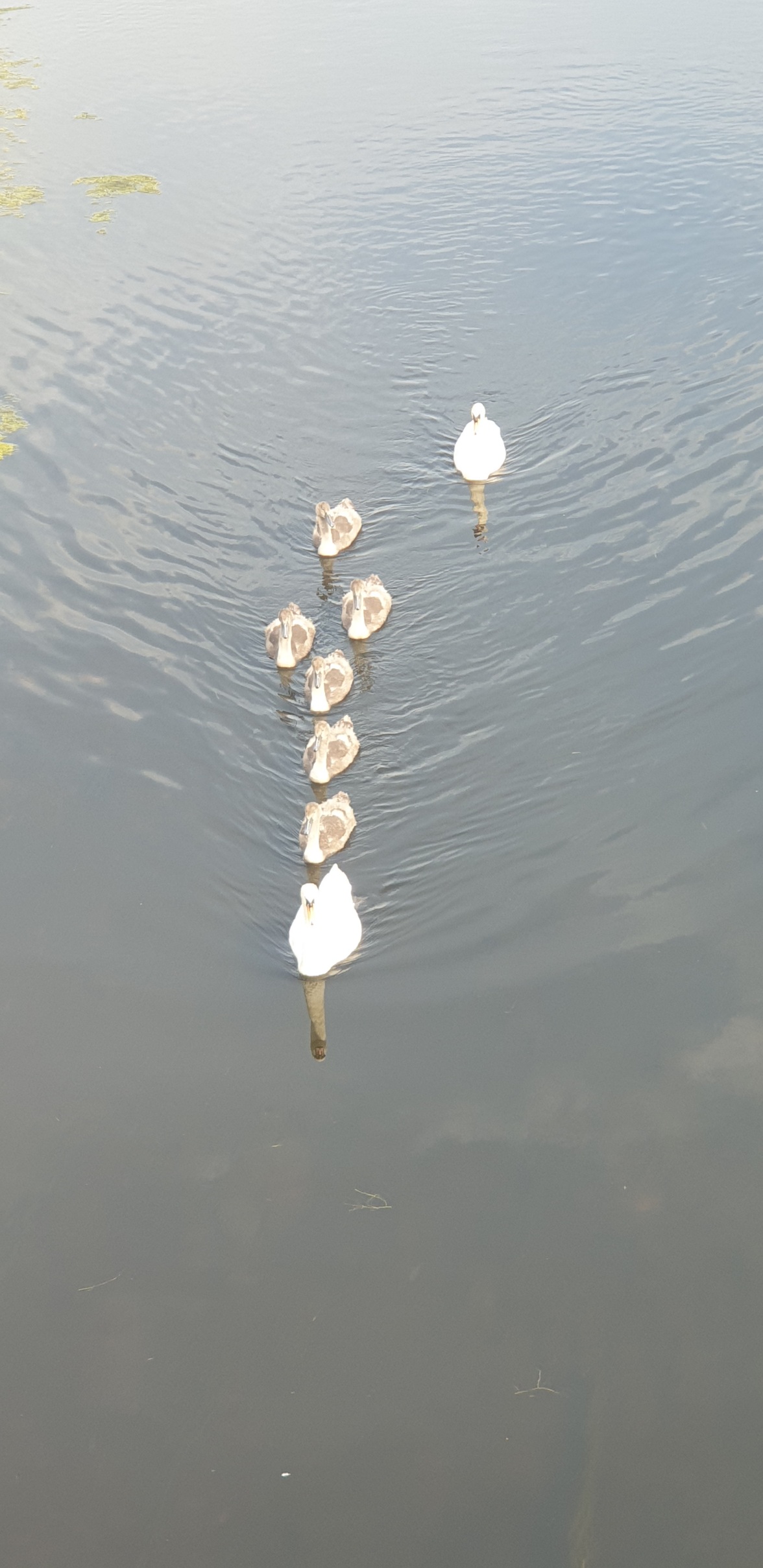 20220719_112611.jpg