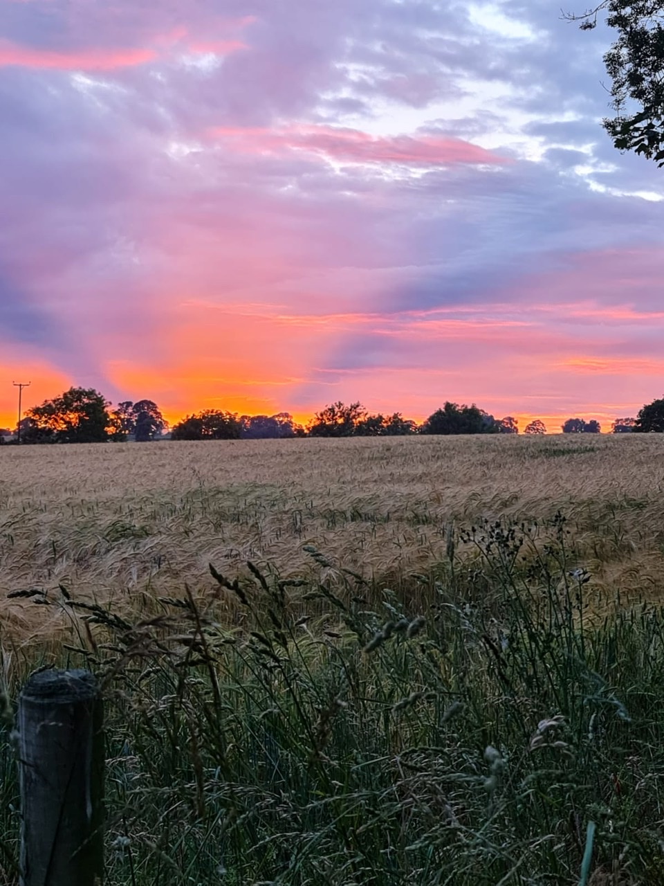 053882A6-36F5-45DF-933B-2DFCDE63C04C.jpeg