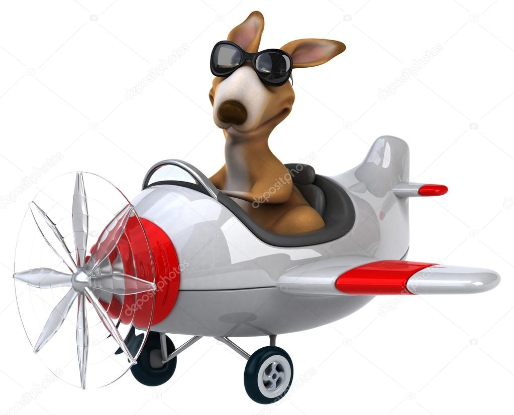 kangaroo-in-a-plane.jpg