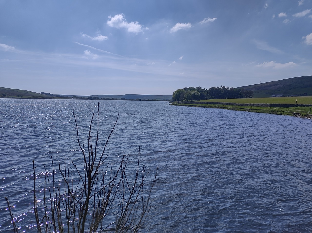 82D78020-1C74-4BF1-9C68-6F07AD409681.jpeg