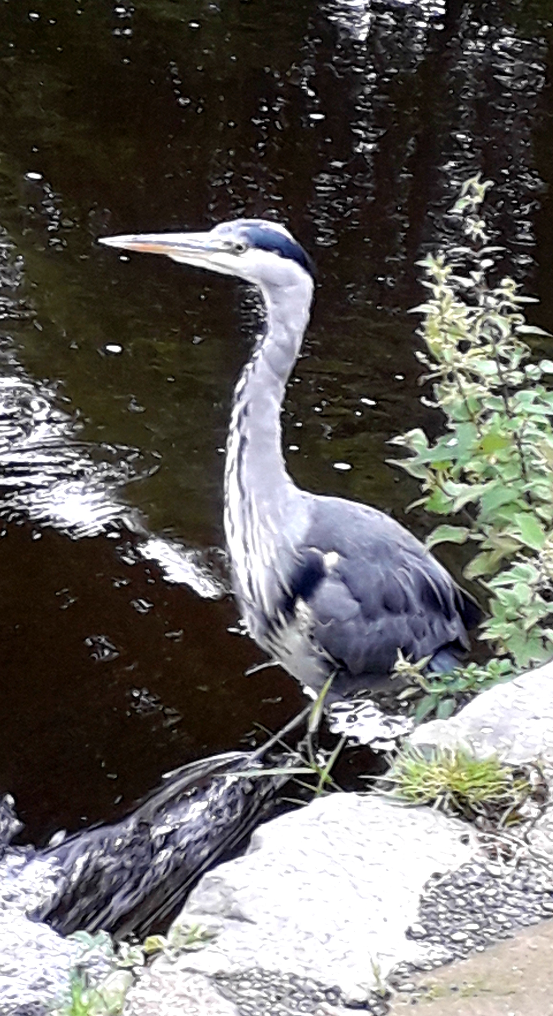 20220910_153910.jpg