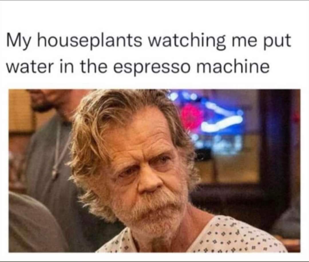 FB_IMG_1668251088511.jpg