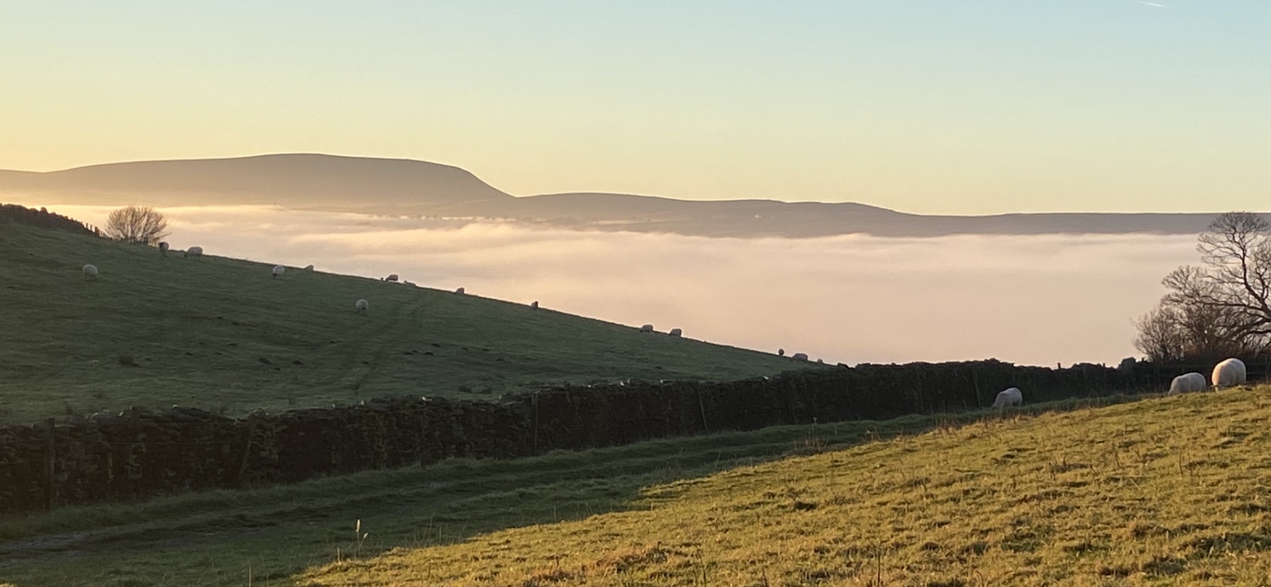 Pendle from Kelbrook