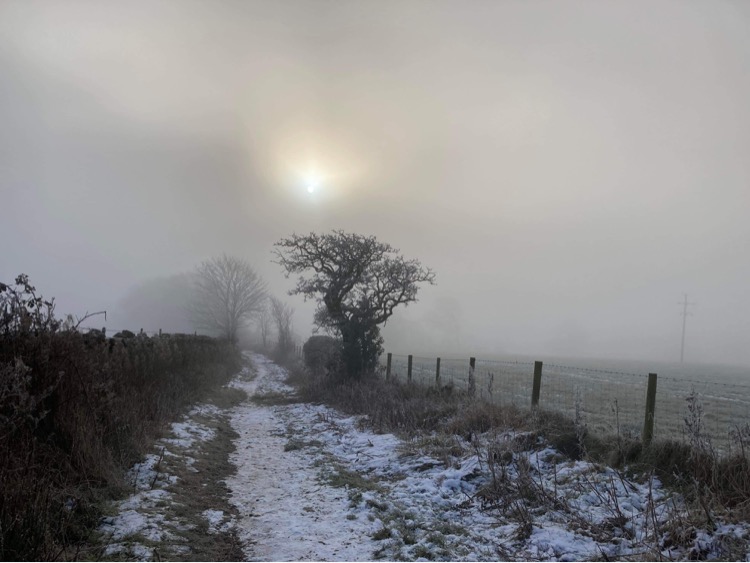 CA3E60E5-1684-42D6-B882-E48BF460A422.jpeg