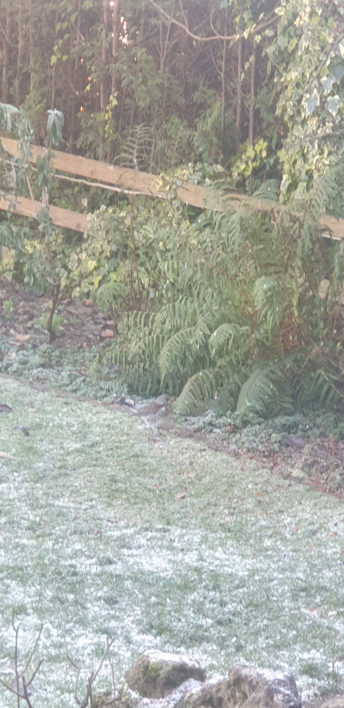20221214_120355.jpg