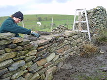 220px-Dry_Stone_wall_building.jpeg