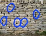 images (1).jpeg
