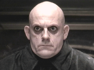 fester1.gif