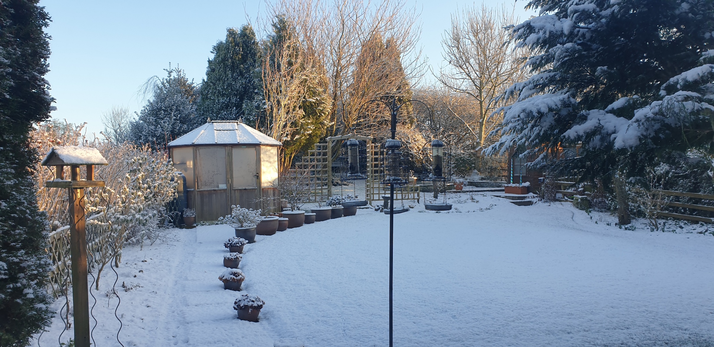 Garden Jan 19th 2023.jpg