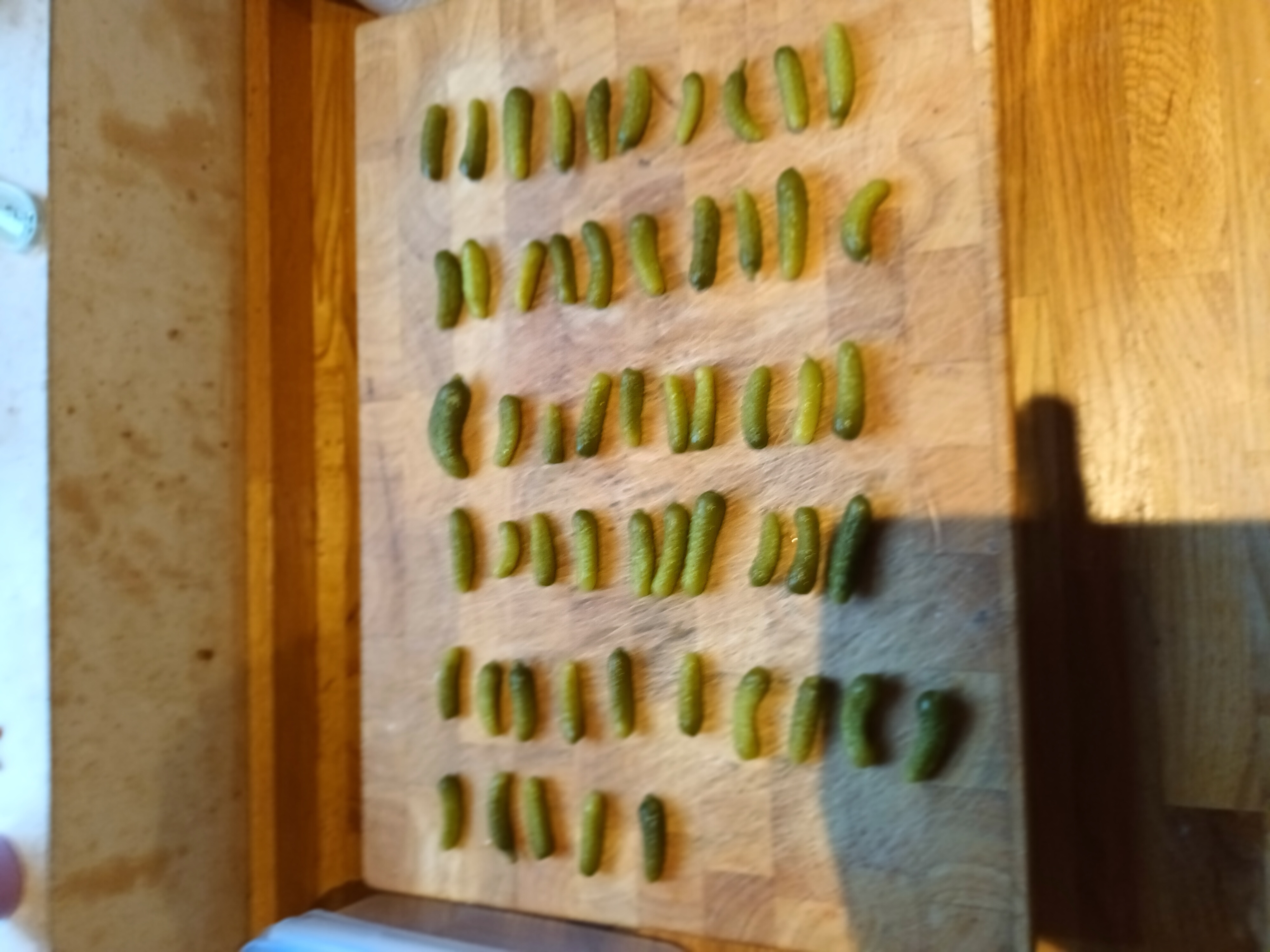20230211_162243.jpg