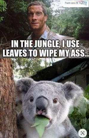 FB_IMG_1677749968076.jpg