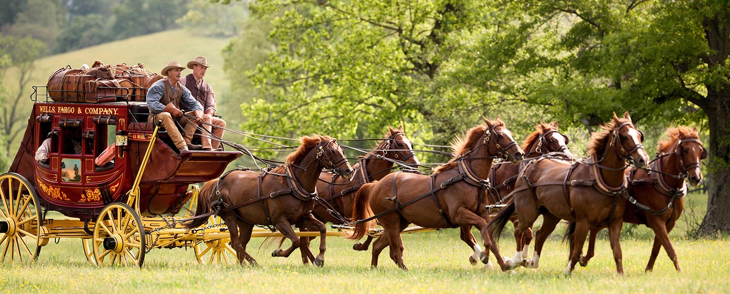 Stagecoach-main.jpg