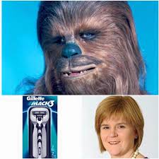 sturgeon.jpg