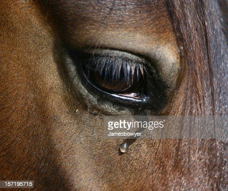 gettyimages-157195715-170667a.jpg