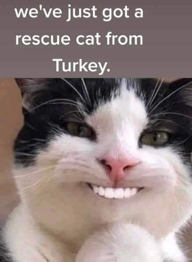FB_IMG_1679564082647.jpg