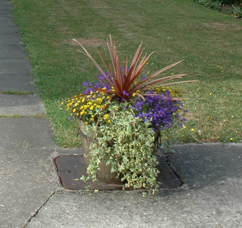 N path 7.2010s.jpg