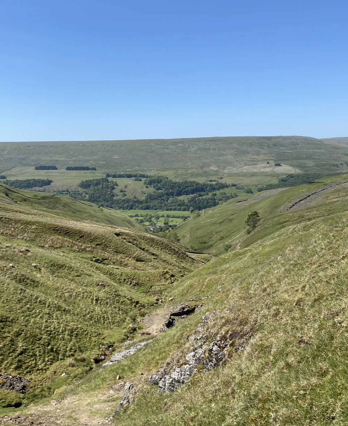 IMG_7020.jpeg