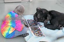 Bonobos_Panbanisha_&_Kanzi_with_Sue_Savage-Rumbaugh,_2006.jpg